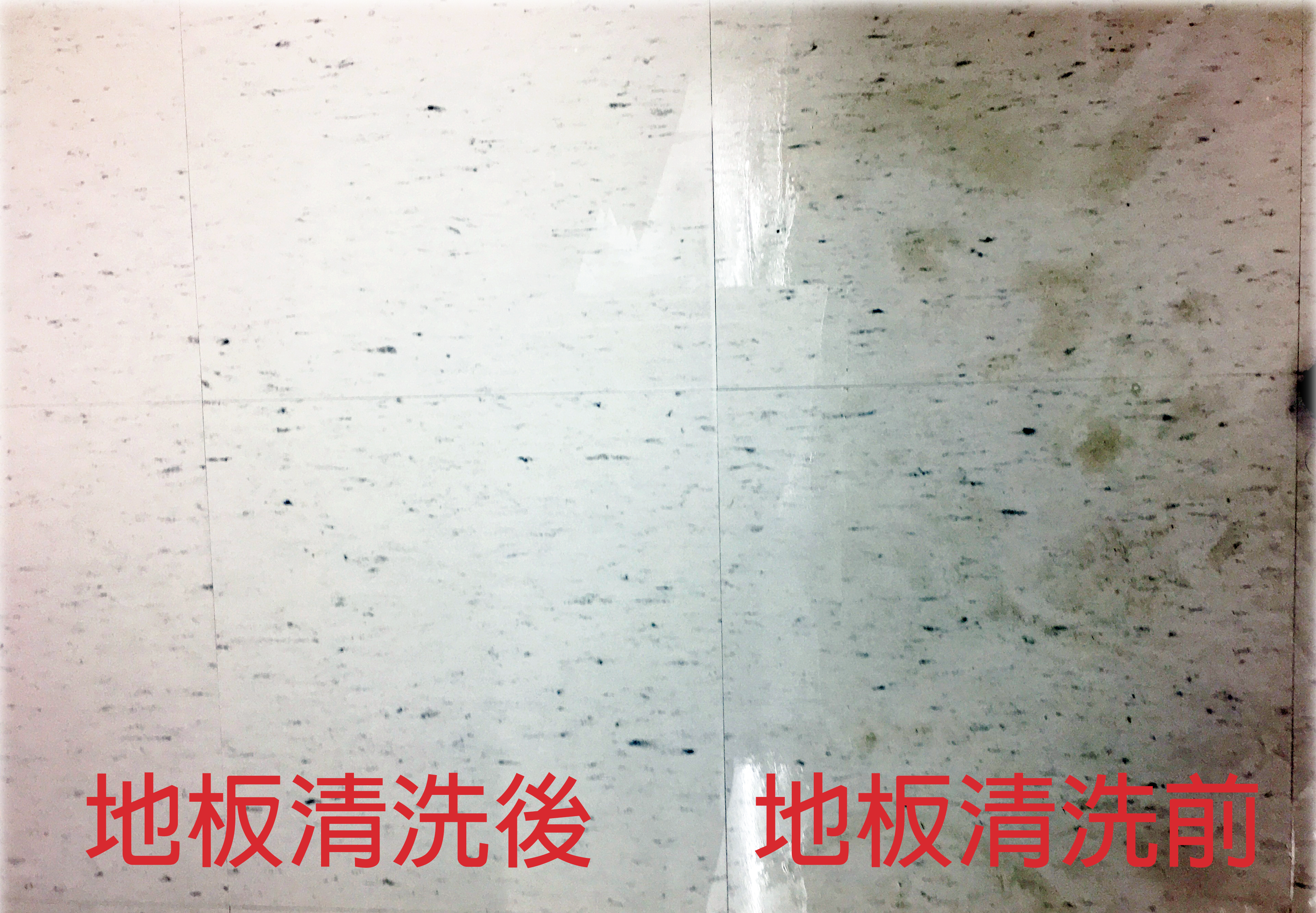 地板清洗